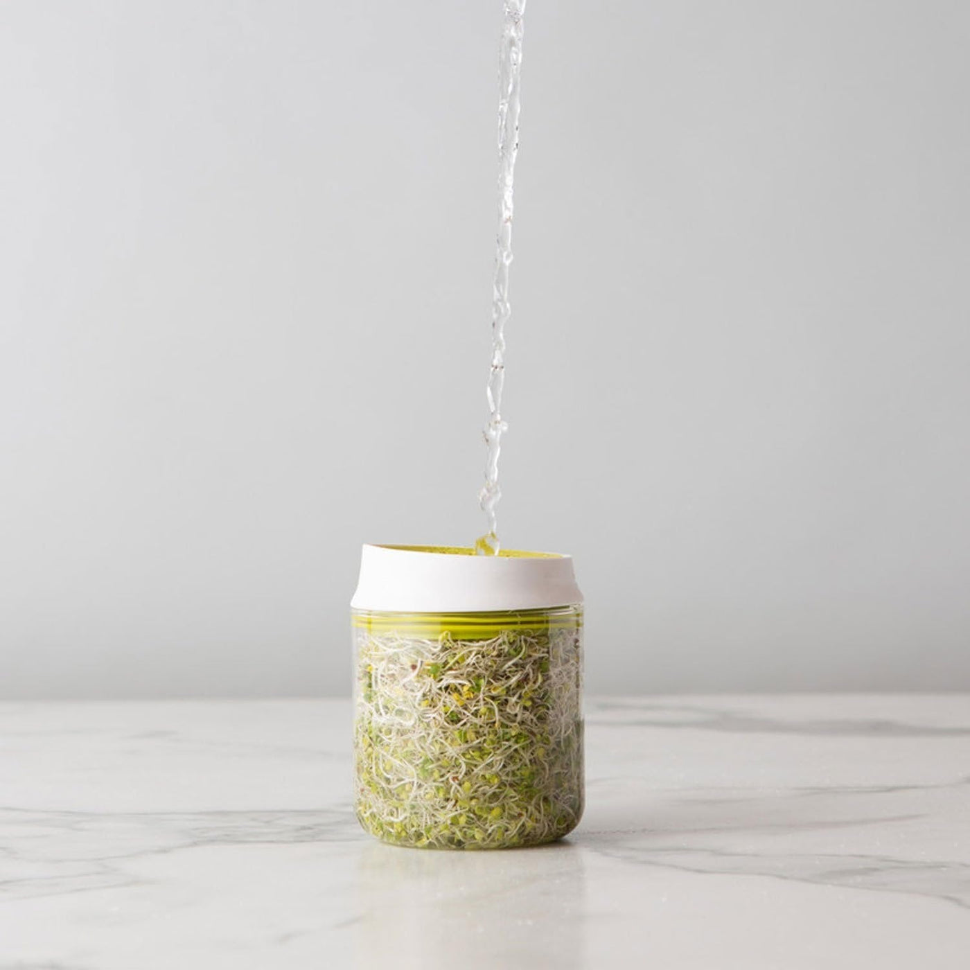 Countertop Vegetable Sprouter Kit For Fresh Kitchen Growers