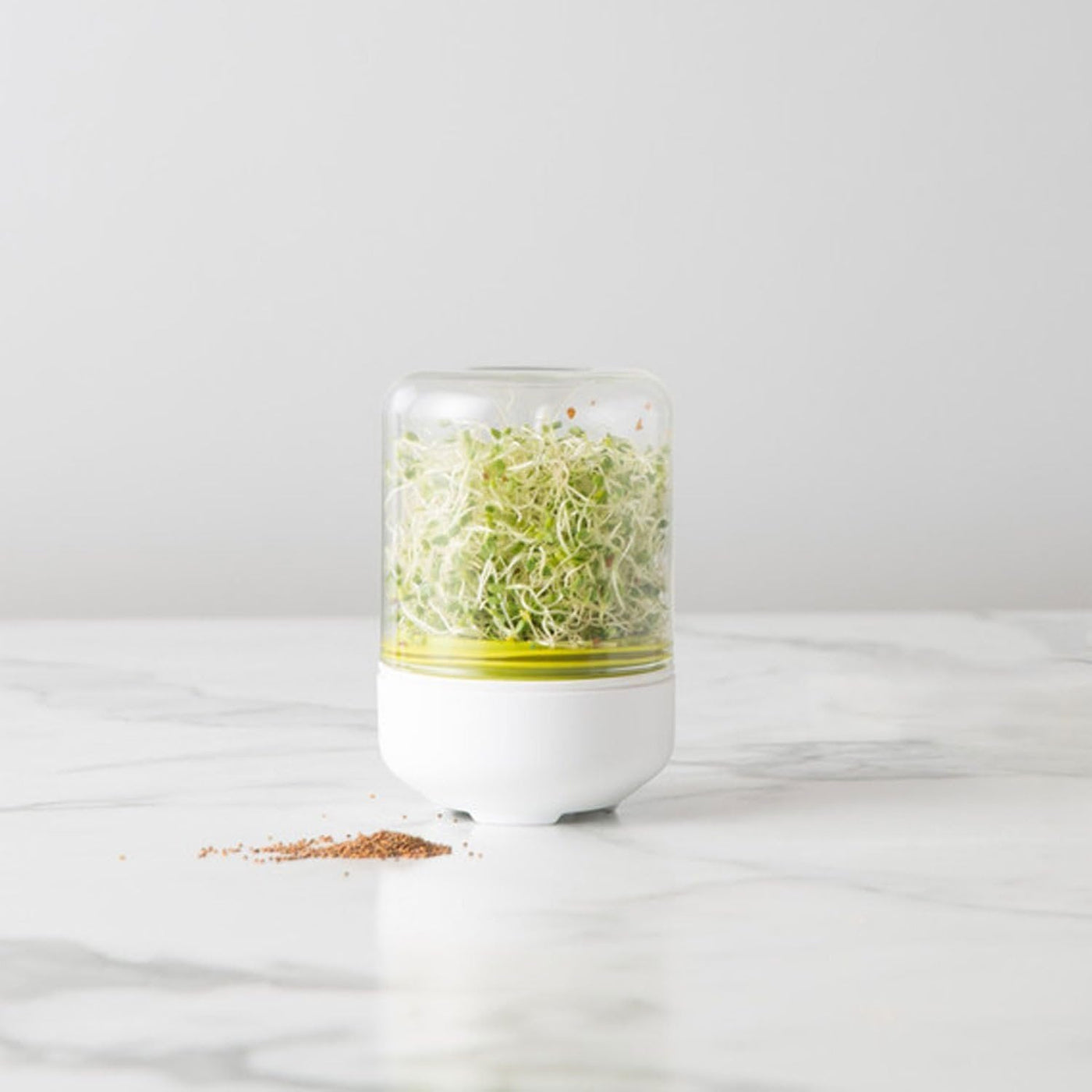 Countertop Vegetable Sprouter Kit For Fresh Kitchen Growers