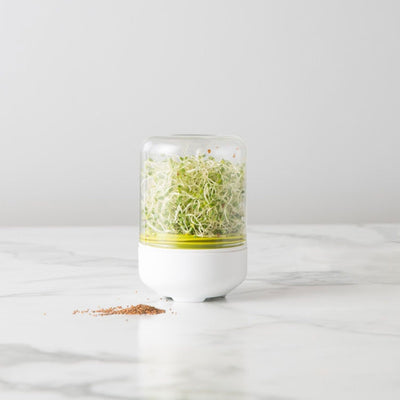 Countertop Vegetable Sprouter Kit For Fresh Kitchen Growers