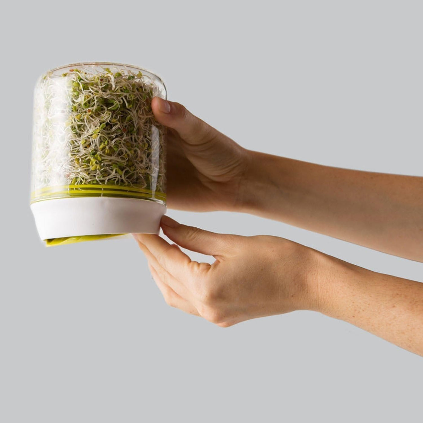 Countertop Vegetable Sprouter Kit For Fresh Kitchen Growers