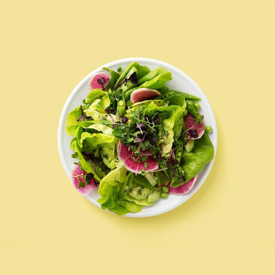 Countertop Vegetable Sprouter Kit For Fresh Kitchen Growers