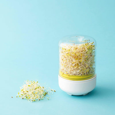 Countertop Vegetable Sprouter Kit For Fresh Kitchen Growers