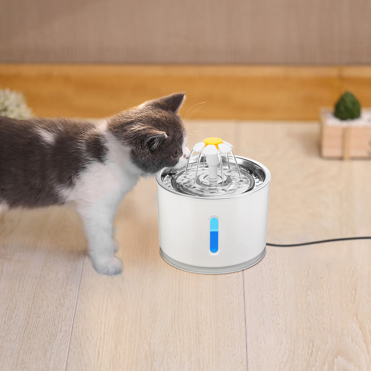 PurrFlow Automatic Cat Water Feeder With Timed Dispensing System