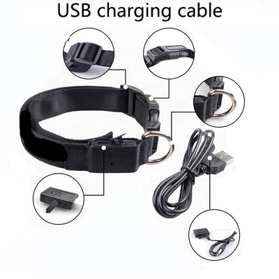 LED Dog Collar Rechargeable USB Powered Safety Light For Pets