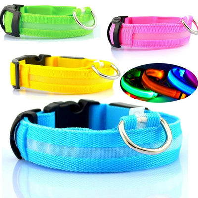 LED Dog Collar Rechargeable USB Powered Safety Light For Pets