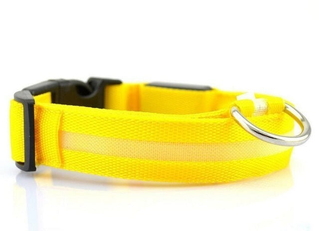 LED Dog Collar Rechargeable USB Powered Safety Light For Pets
