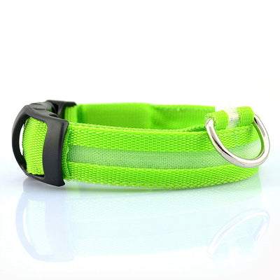 LED Dog Collar Rechargeable USB Powered Safety Light For Pets