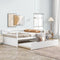 Daybed Trundle Set Twin Size Space Saving Furniture Solution