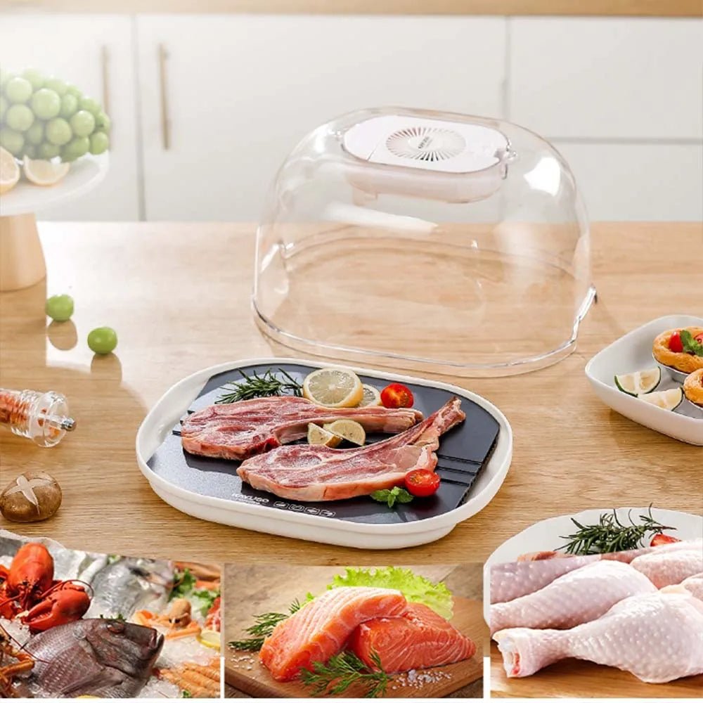 Defrosting Machine Tray For Quick Frozen Meat Thawing And Preservation