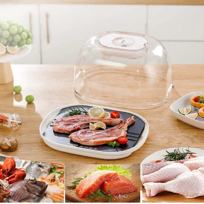 Defrosting Machine Tray For Quick Frozen Meat Thawing And Preservation