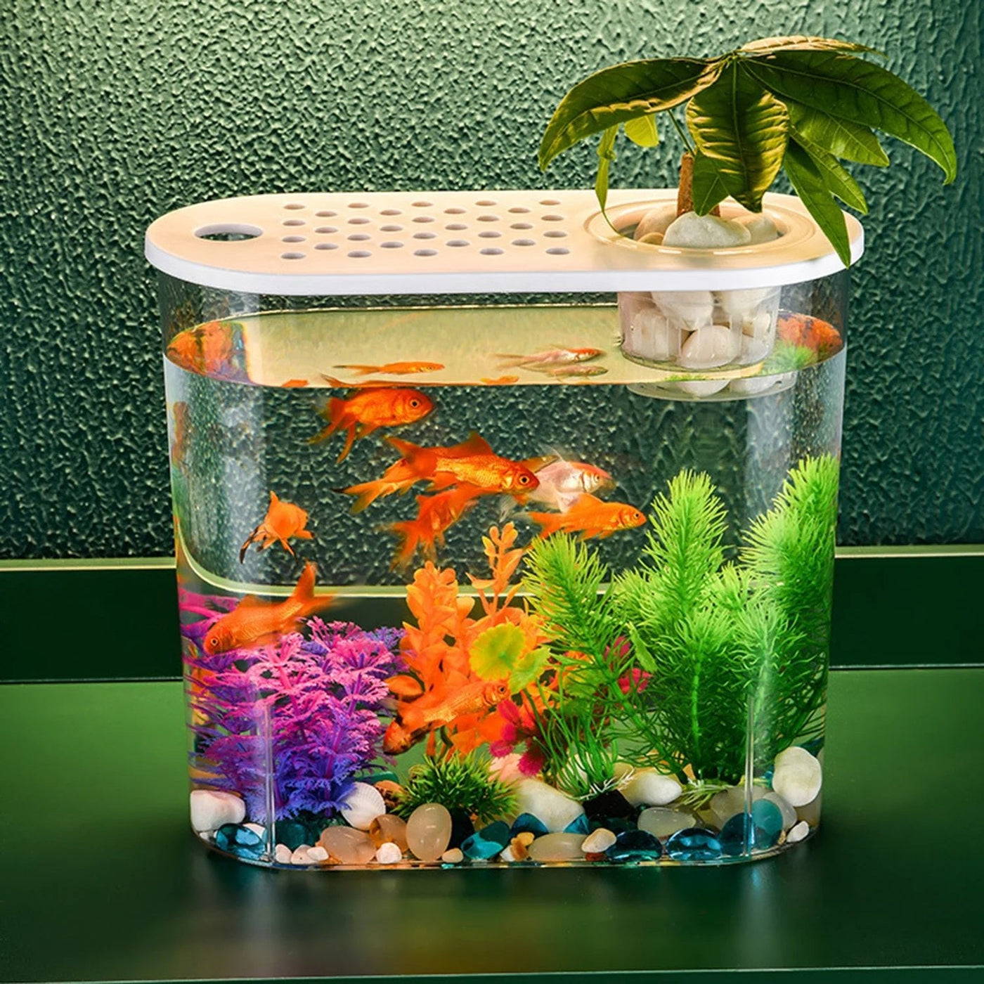 Desktop Aquarium Planter Tank Shatterproof Decorative Home Office Fish Tank