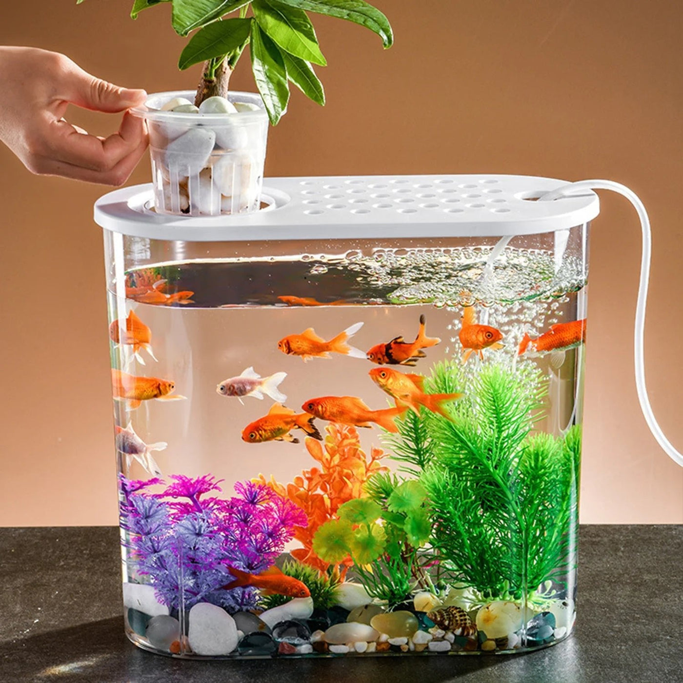Desktop Aquarium Planter Tank Shatterproof Decorative Home Office Fish Tank
