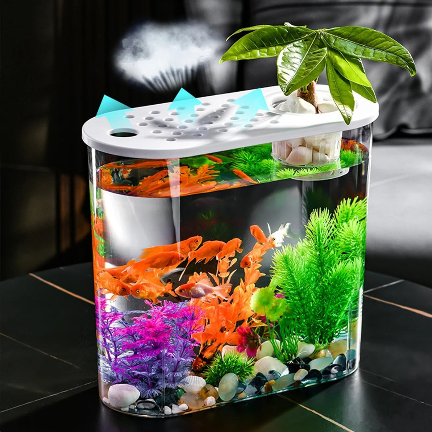 Desktop Aquarium Planter Tank Shatterproof Decorative Home Office Fish Tank