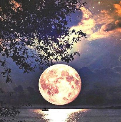 Diamond Painting Kit Complete DIY Art Craft Set For Beginners
