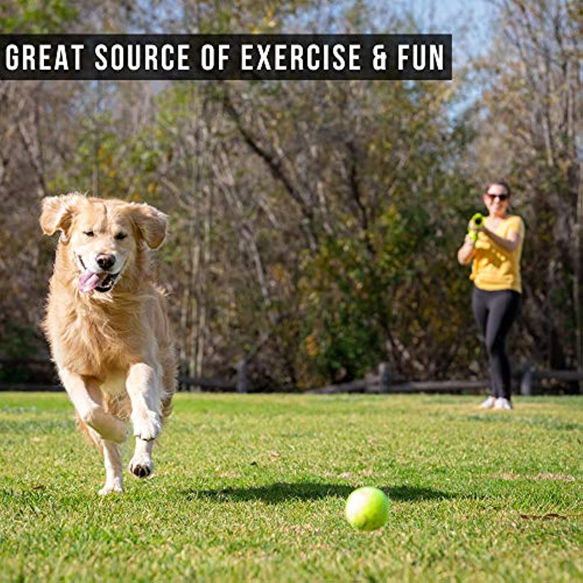 Dog Ball Launcher Automatic Tennis Ball Thrower For Dogs