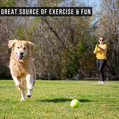 Dog Ball Launcher Automatic Tennis Ball Thrower For Dogs