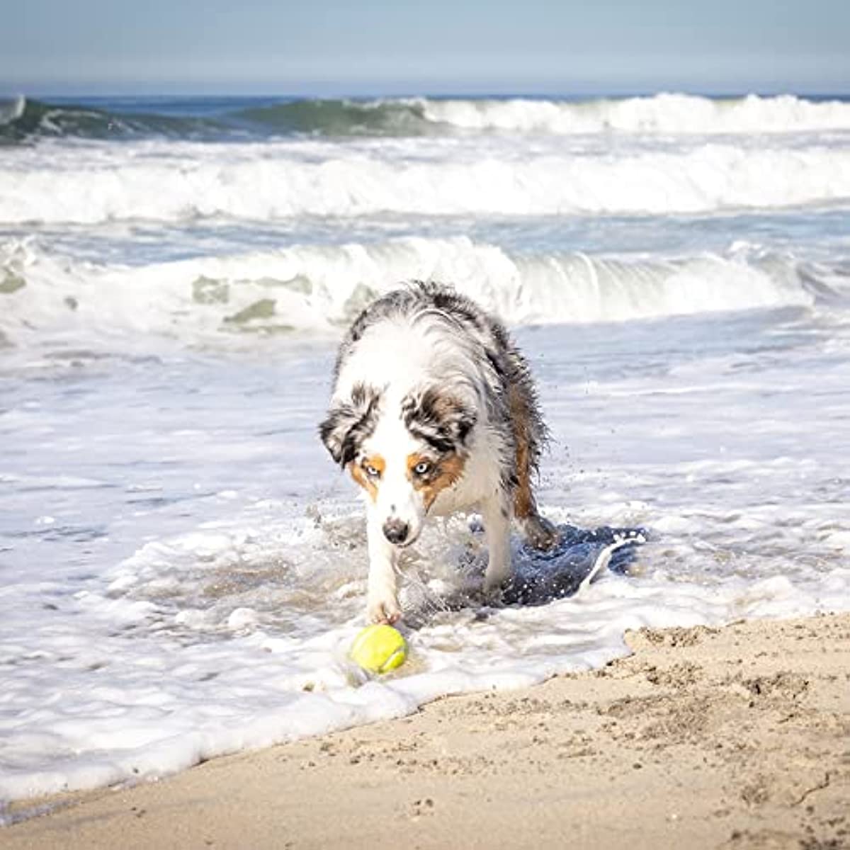 Dog Ball Launcher Automatic Tennis Ball Thrower For Dogs