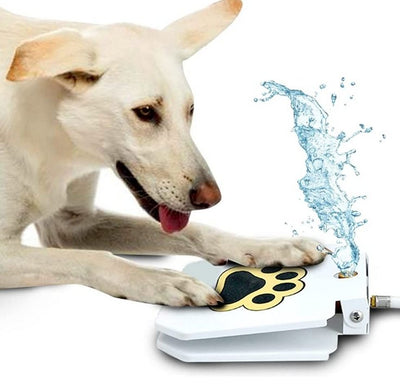 Dog Water Fountain With Step On Design For Easy Drinking