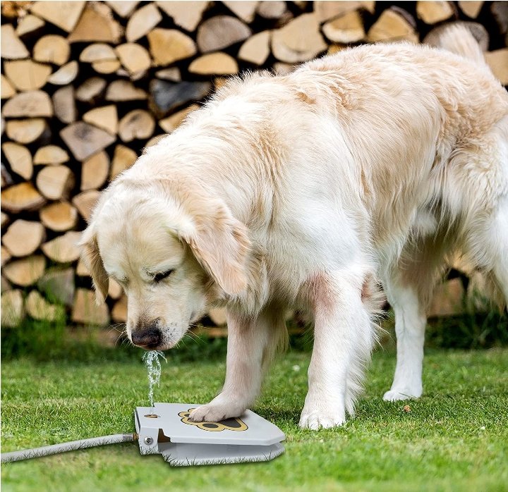 Dog Water Fountain With Step On Design For Easy Drinking