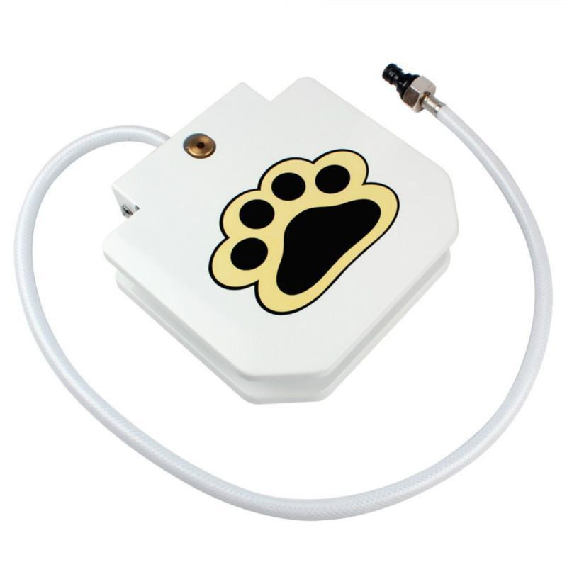 Dog Water Fountain With Step On Design For Easy Drinking