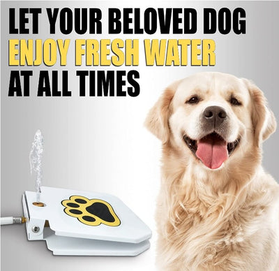 Dog Water Fountain With Step On Design For Easy Drinking