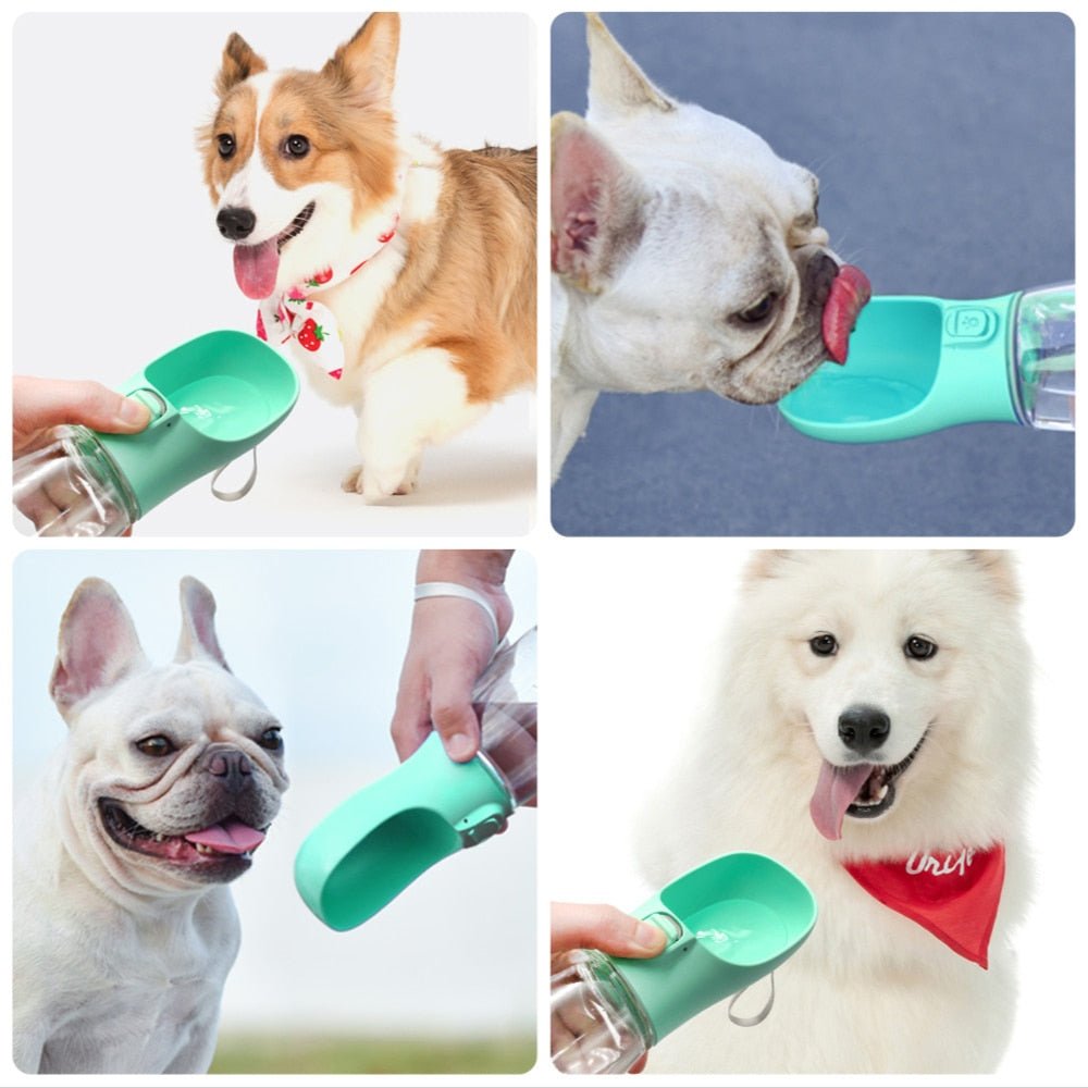 Portable Dog Water Bottle For Outdoor Travel And Hiking