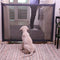 Dogvio Pet Safety Door Guard For Secure Home Protection