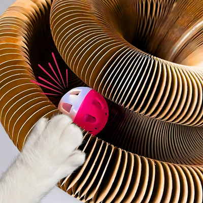 Interactive Cat Toy For Engaging Indoor Play And Exercise