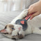 Easy Clean Pet Grooming Comb For Cats And Dogs Fur Shedding