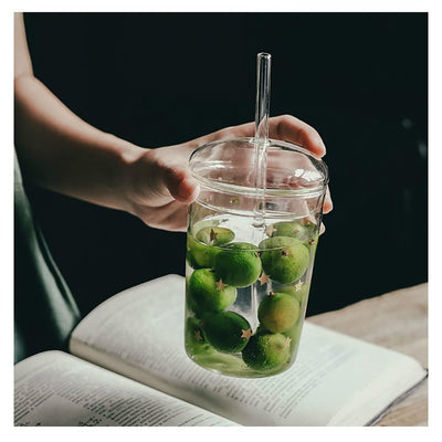 Borosilicate Glass Tumbler With Lid And Straw Eco Friendly Design
