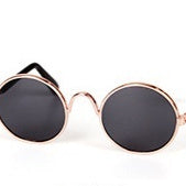 Cat Sunglasses Stylish Pet Accessories For Trendy Cats