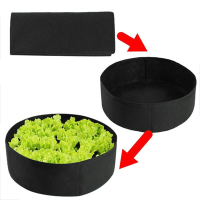 Raised Planting Bed For Easy Gardening And Healthy Plant Growth