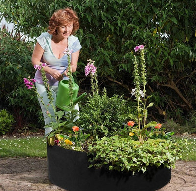 Raised Planting Bed For Easy Gardening And Healthy Plant Growth