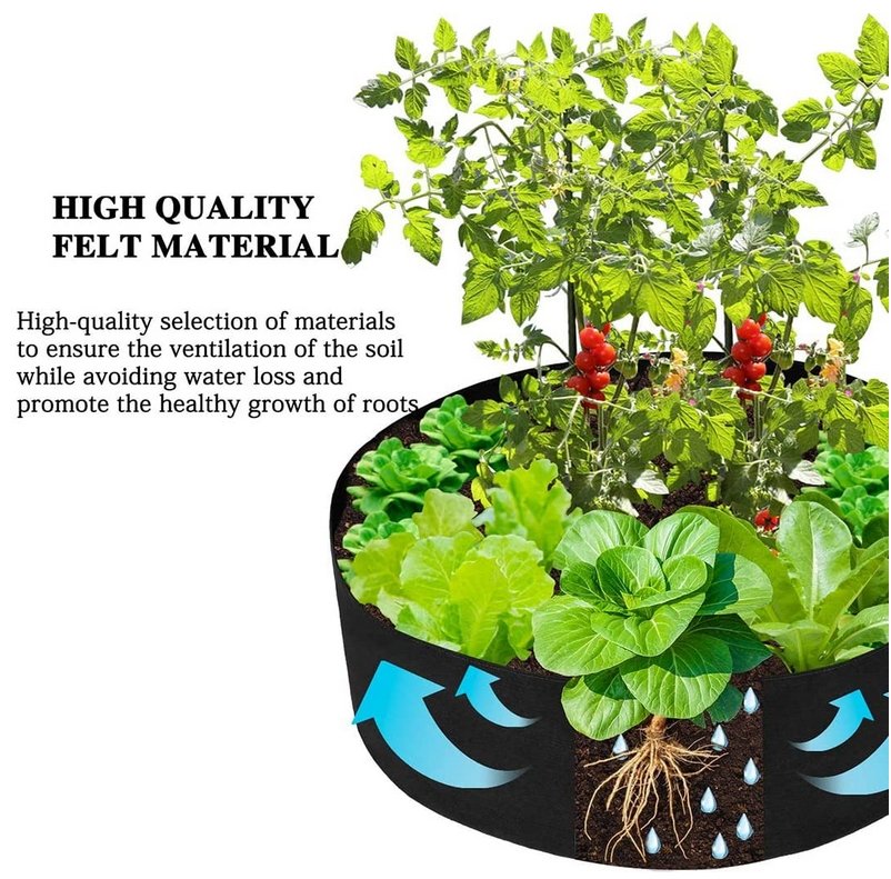 Raised Planting Bed For Easy Gardening And Healthy Plant Growth