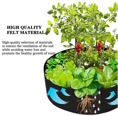 Raised Planting Bed For Easy Gardening And Healthy Plant Growth