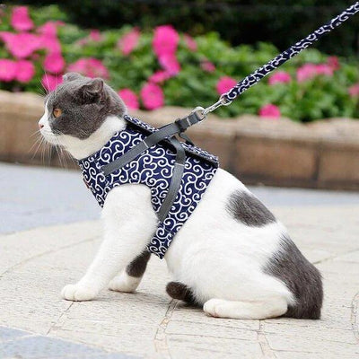Cat Harness Vest With Breakaway Chest Strap For Safety And Comfort