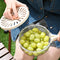 Foldable Fruit Drain Basket With Lid For Easy Vegetable Washing And Storage