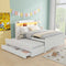 Full-Size Storage Platform Bed With LED Headboard Trundle Drawers