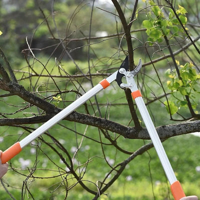 Garden Pruning Shears Branches Scissors Pruning Loppers Tools