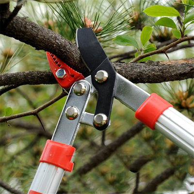 Garden Pruning Shears Branches Scissors Pruning Loppers Tools