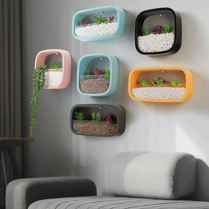 Geometric Wall Planter Transparent Hanging Succulent Flower Pot Decor