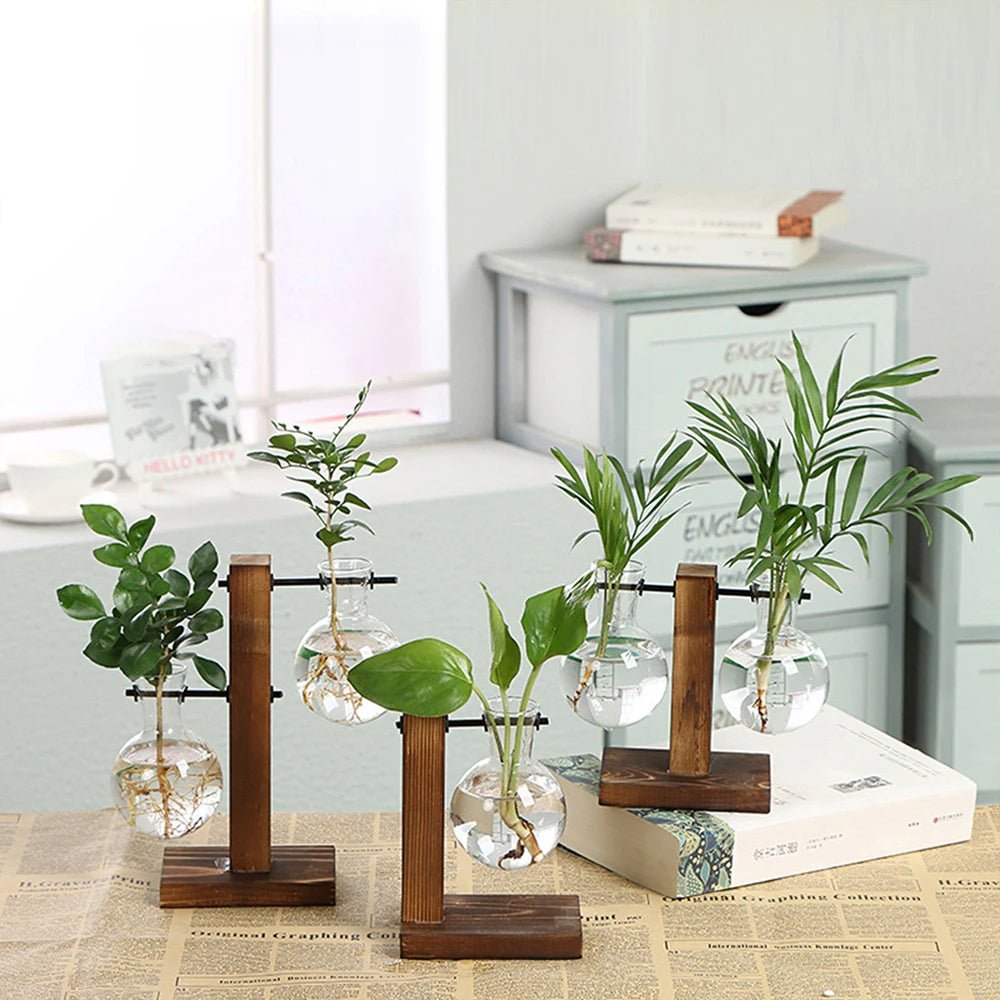 Glass Desktop Planter With Wooden Stand For Stylish Plant Display