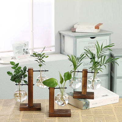 Glass Desktop Planter With Wooden Stand For Stylish Plant Display
