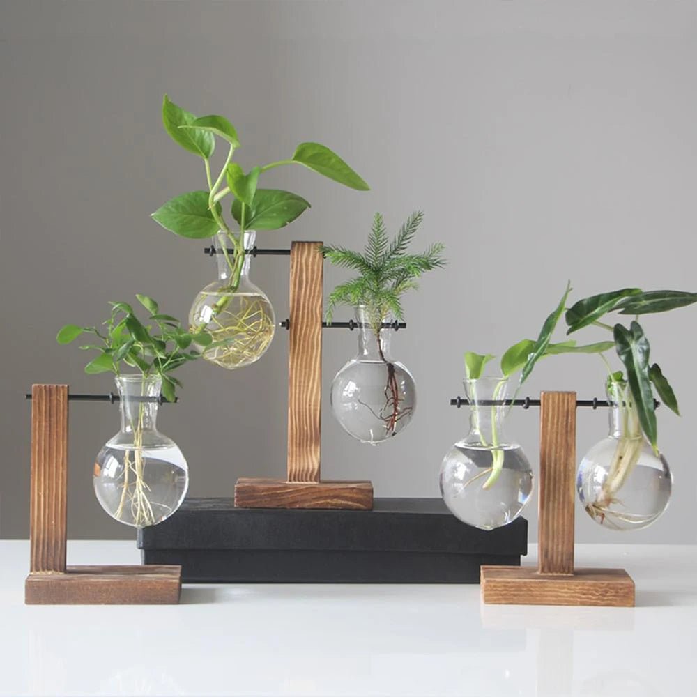 Glass Desktop Planter With Wooden Stand For Stylish Plant Display