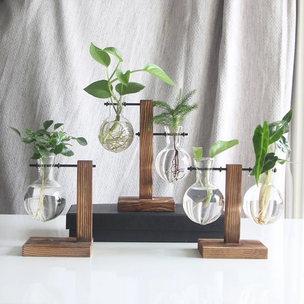 Glass Desktop Planter With Wooden Stand For Stylish Plant Display