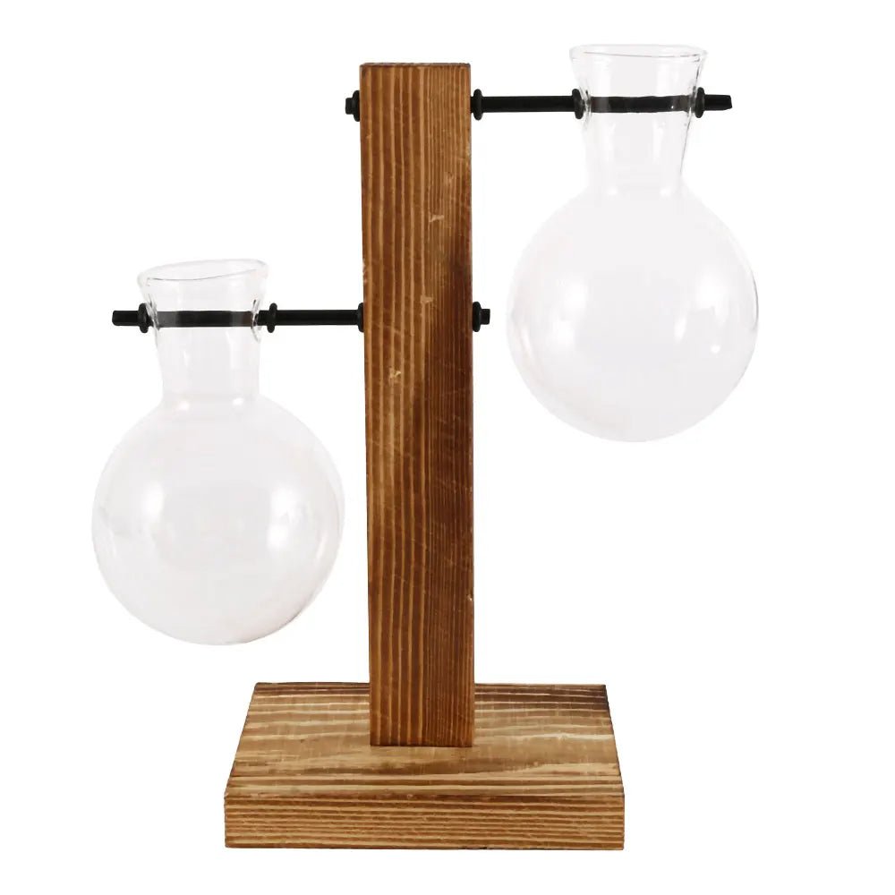 Glass Desktop Planter With Wooden Stand For Stylish Plant Display