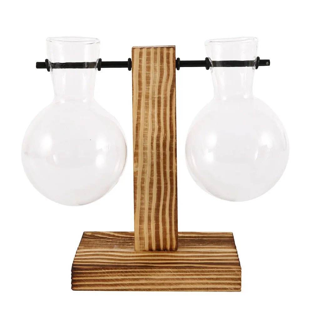 Glass Desktop Planter With Wooden Stand For Stylish Plant Display