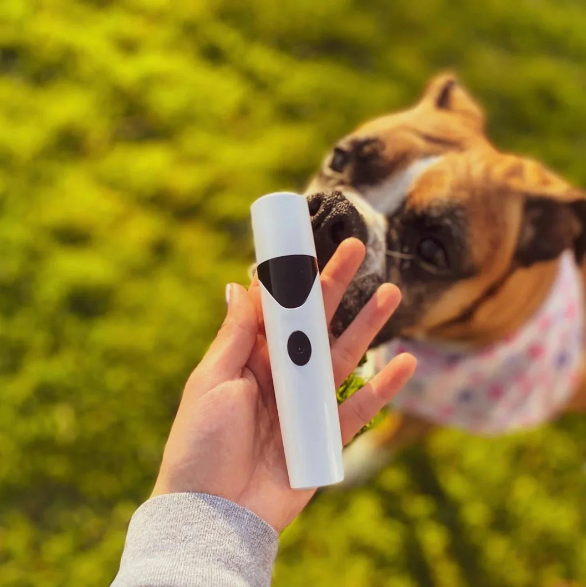 Pet Nail Grinder Electric Quiet Safe Grooming Tool For Dogs Cats