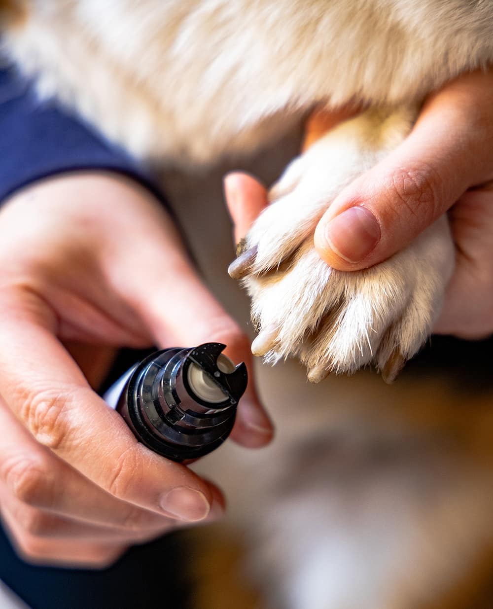 Pet Nail Grinder Electric Quiet Safe Grooming Tool For Dogs Cats