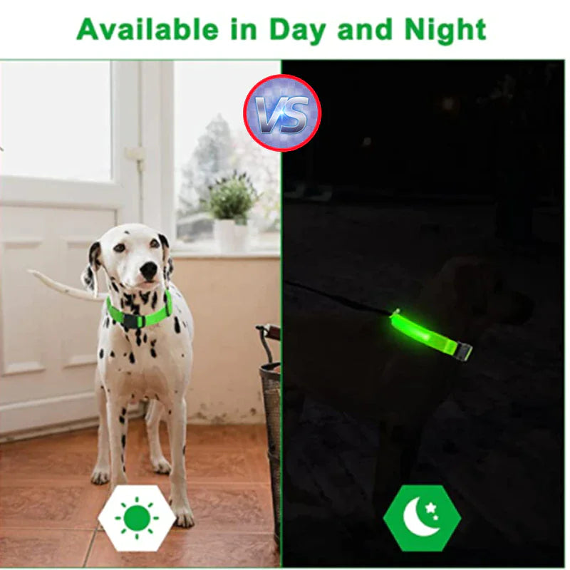 LED Dog Collar Adjustable Waterproof Blinking Safety Light For Pets